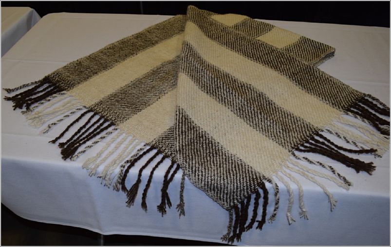 Stranded Spinners finished shawl. Photo: Peggy Lundquist.